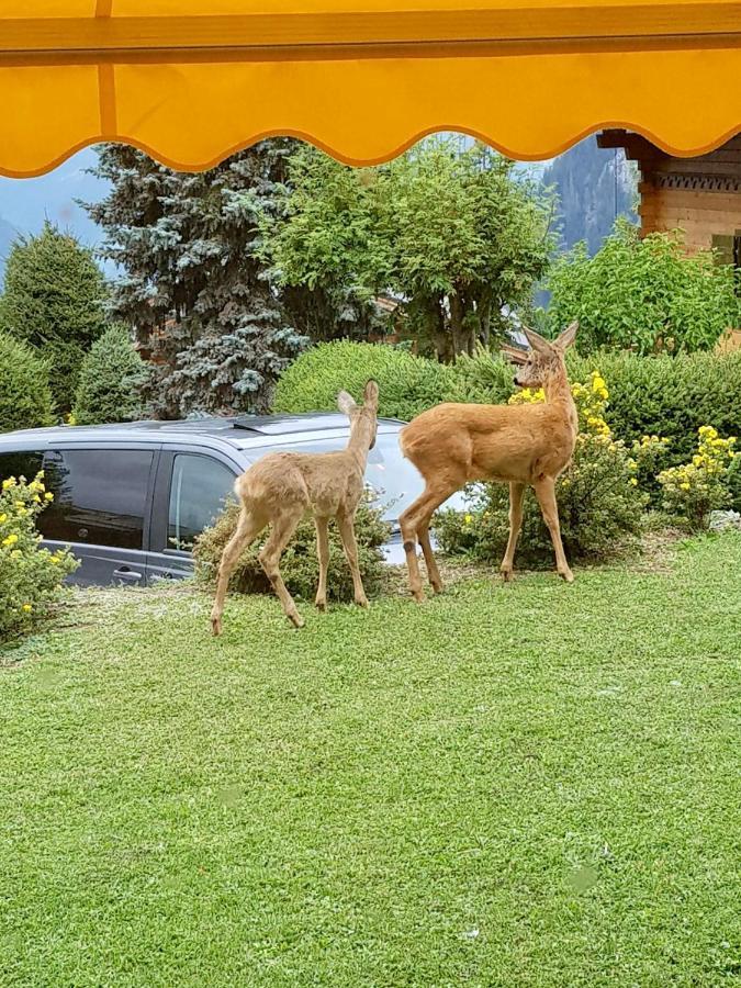 Appartement 2-Pieces A Verbier Kültér fotó